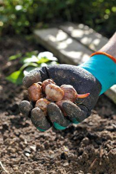 Перчатки Gardena для работы с почвой, 7/S