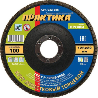 Диск лепестковый шлиф.  125*22 Р100
