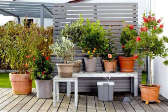Комплект Gardena для полива в выходные дни