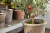 Комплект Gardena для полива в выходные дни Комплект Gardena для полива в выходные дни