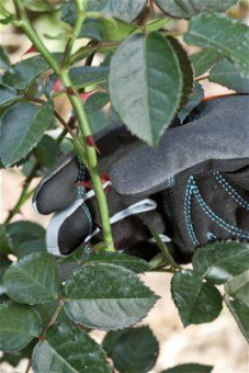 Перчатки Gardena для роз и кустарников, 9/L